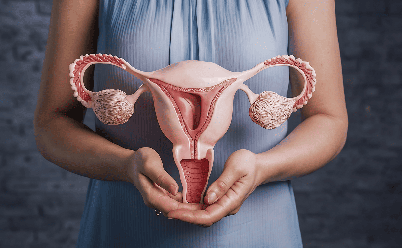 Fibroid and Endometriosis Clinic